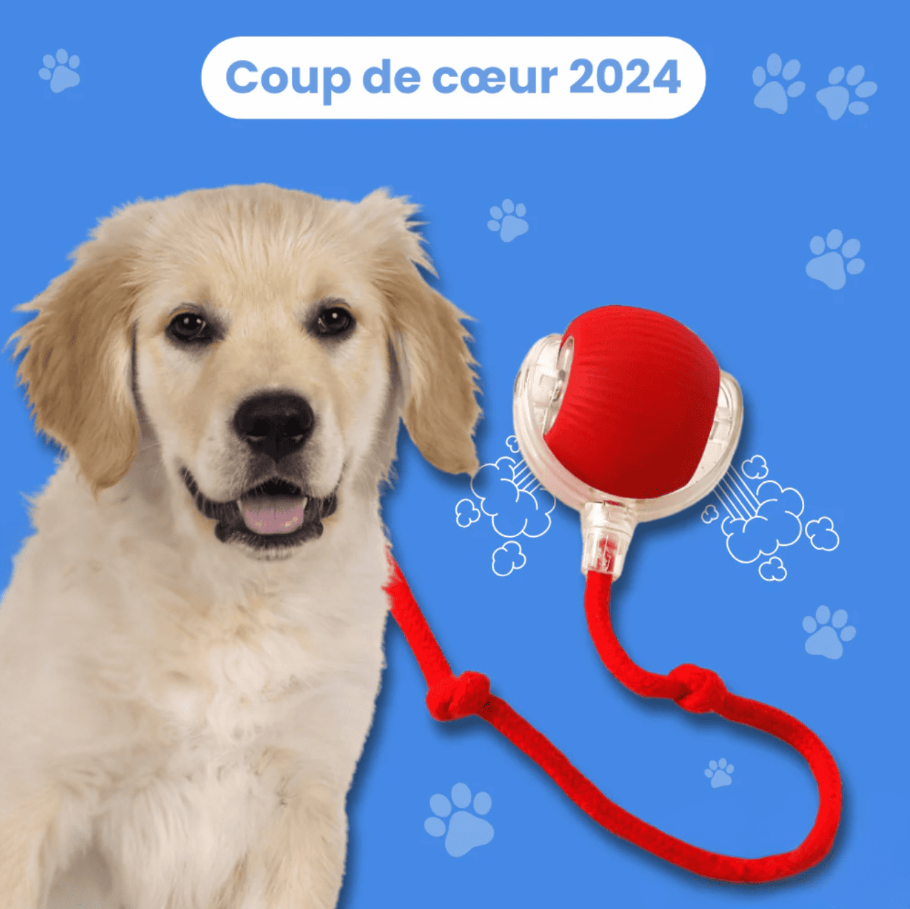 Jouet à Ventouse Interactif pour Chien