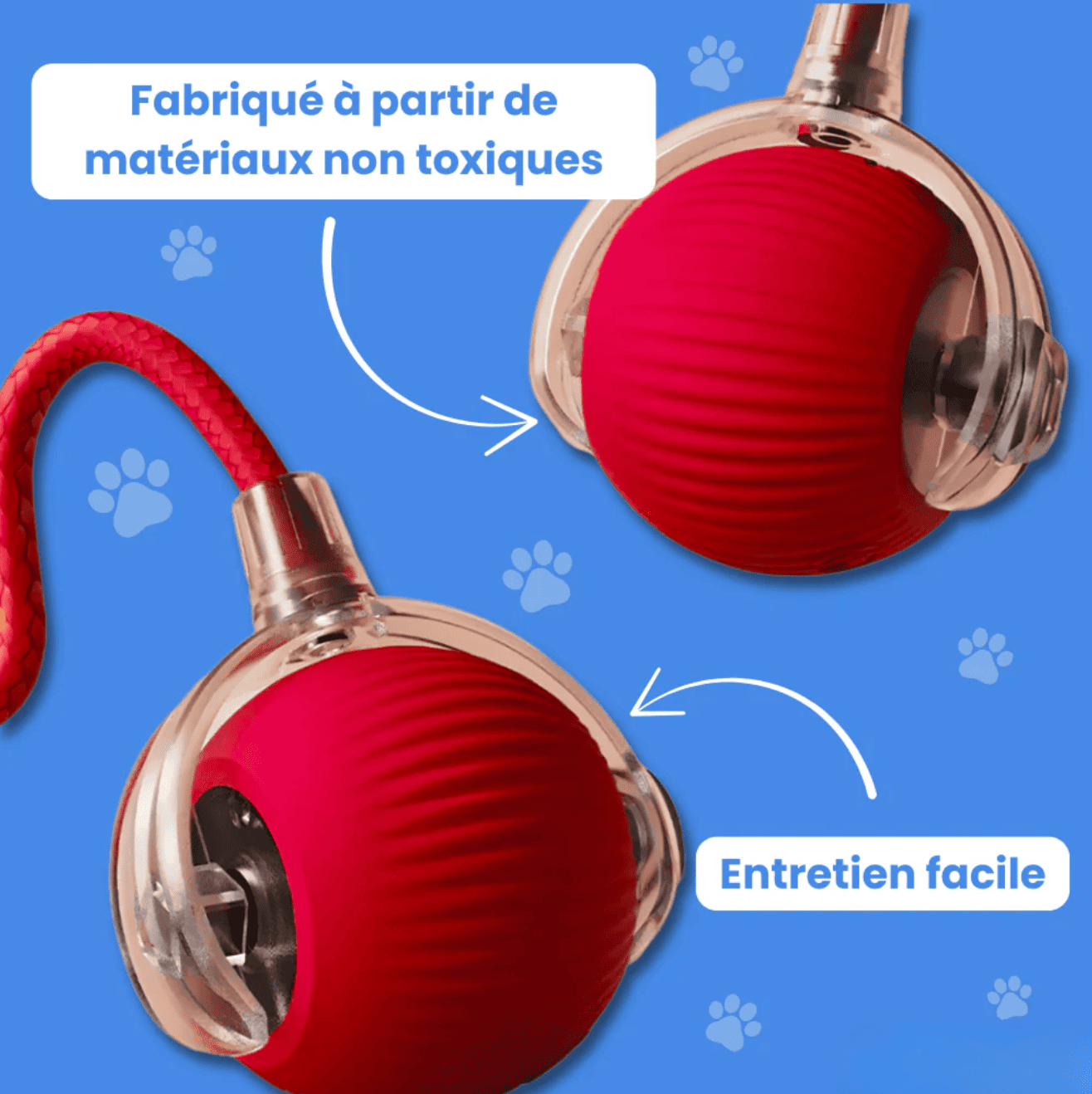 Jouet à Ventouse Interactif pour Chien