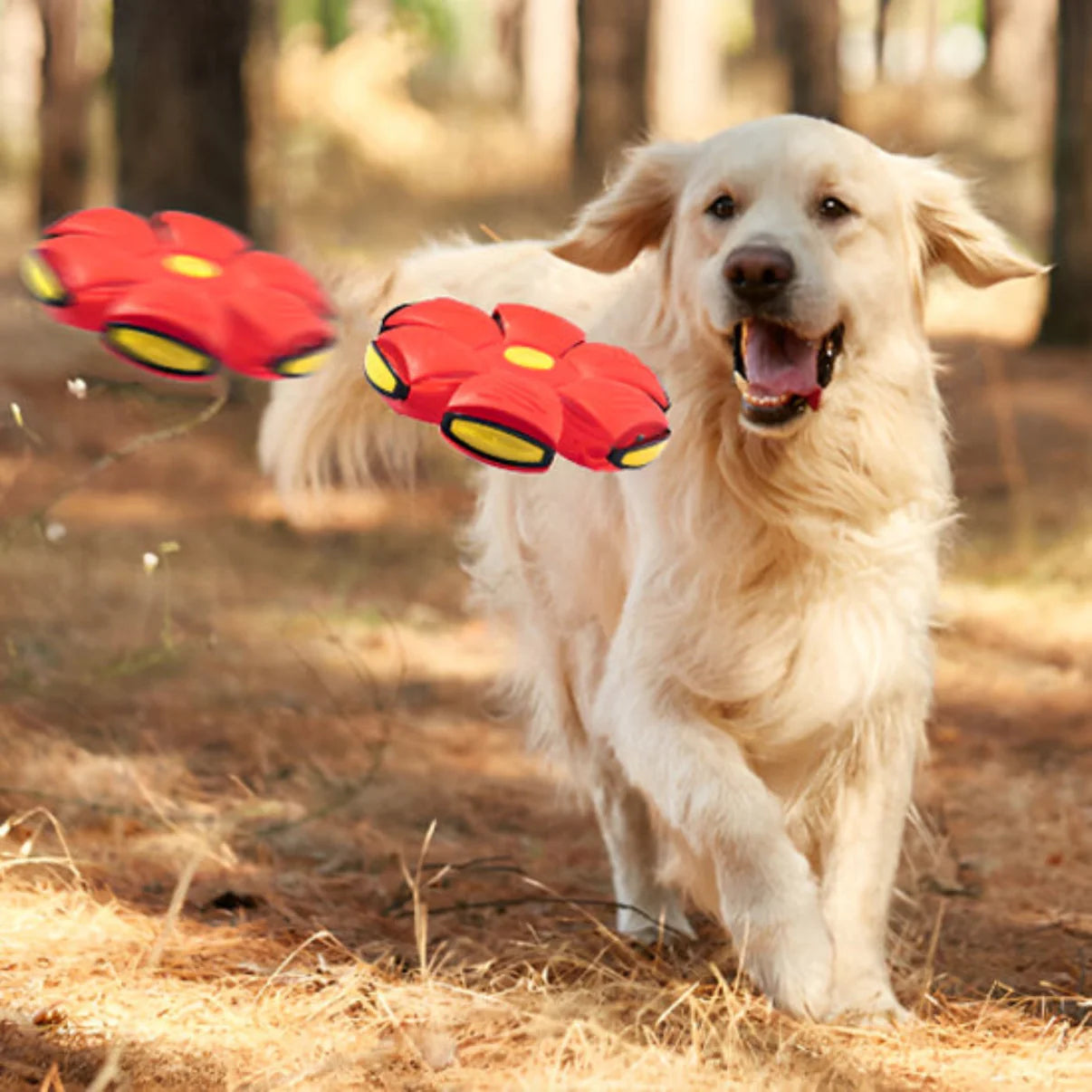 Balle Frisbee Interactive pour Chien