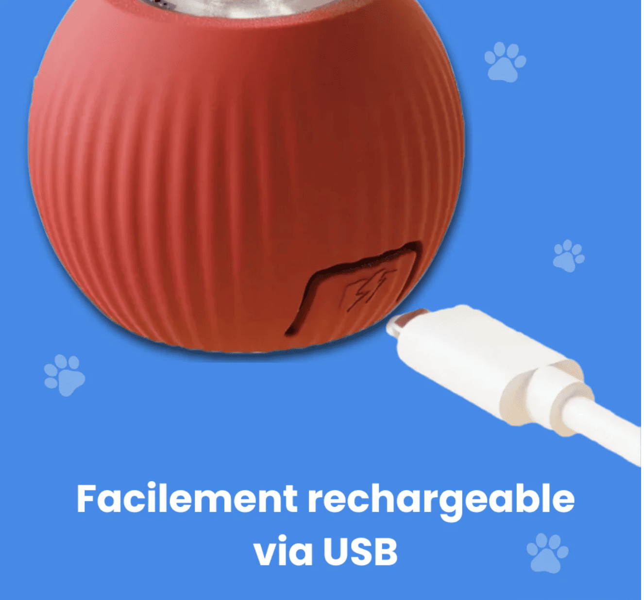 Jouet à Ventouse Interactif pour Chien
