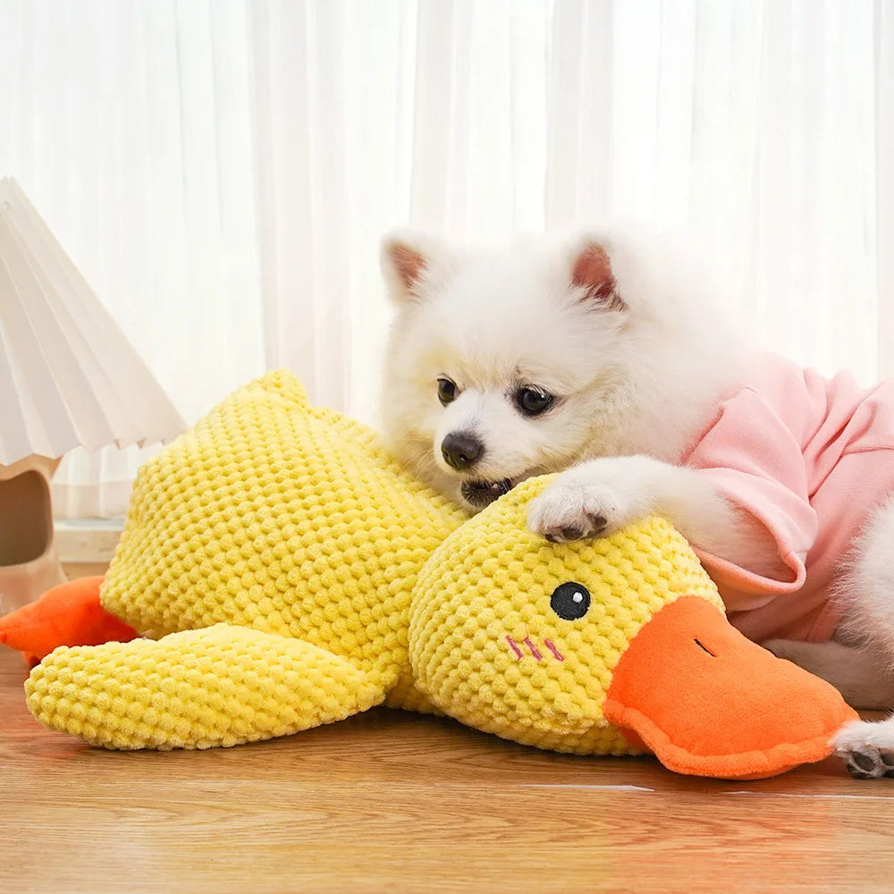 Peluche Canard Douce pour Chien