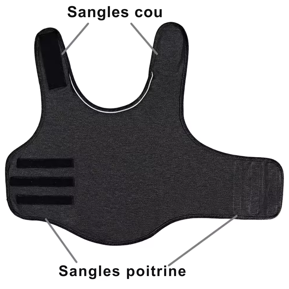 Gilet relaxant pour chien