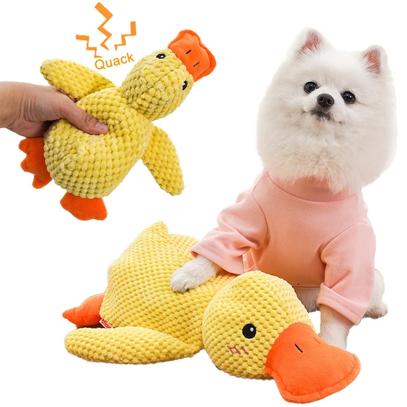 Peluche Canard Douce pour Chien