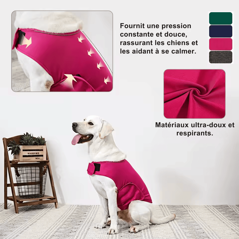 Gilet relaxant pour chien